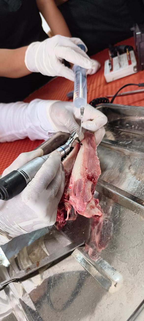 Hands-on Implant placement Training 