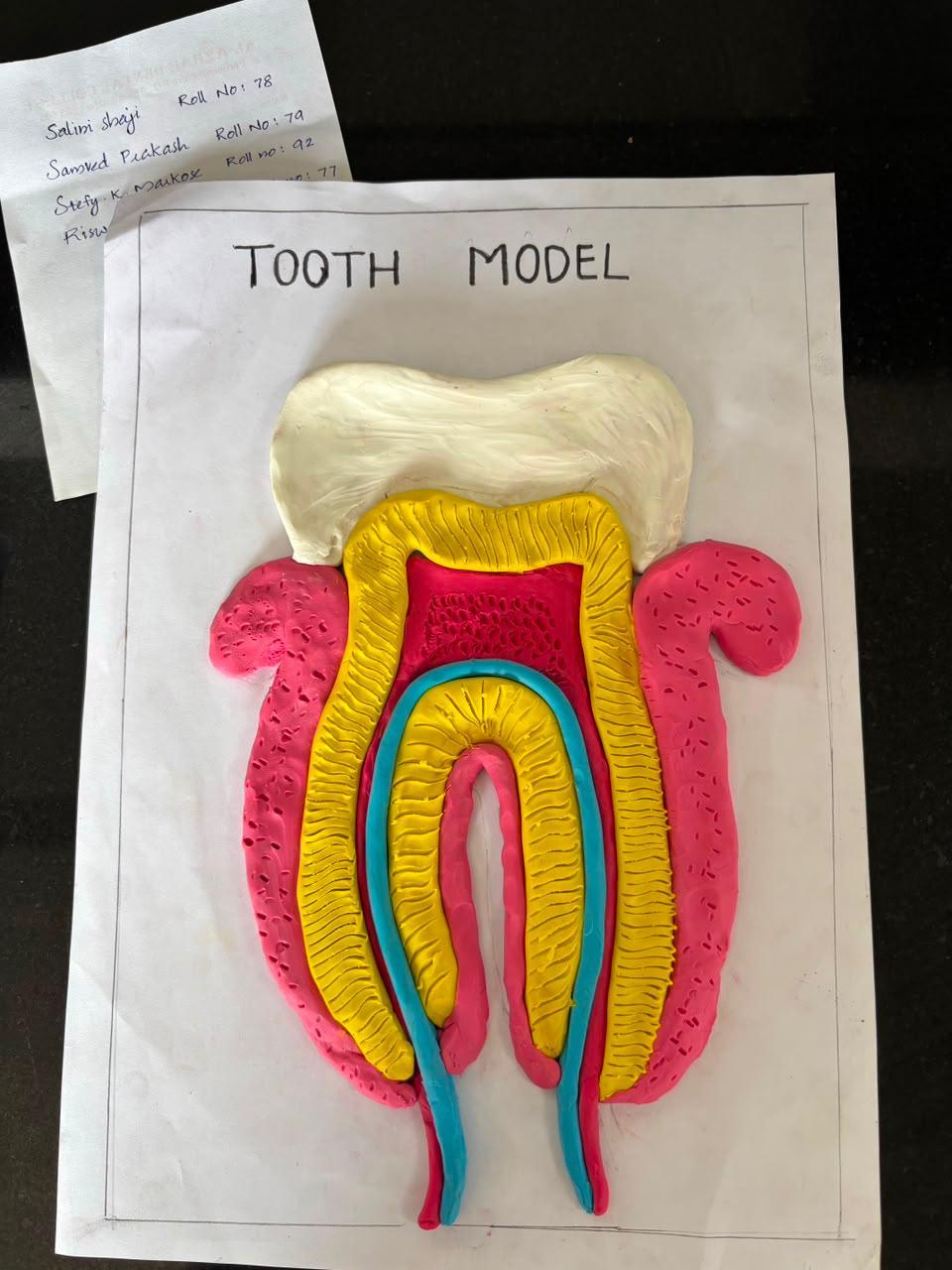 National Oral Pathologist Day 2026